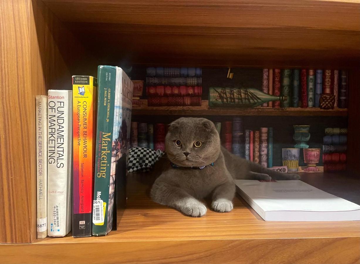 Hotel Cotto Do Gatto ปอนเจ ดา บาร์กา ภายนอก รูปภาพ