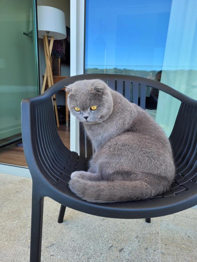 Hotel Cotto Do Gatto ปอนเจ ดา บาร์กา ภายนอก รูปภาพ
