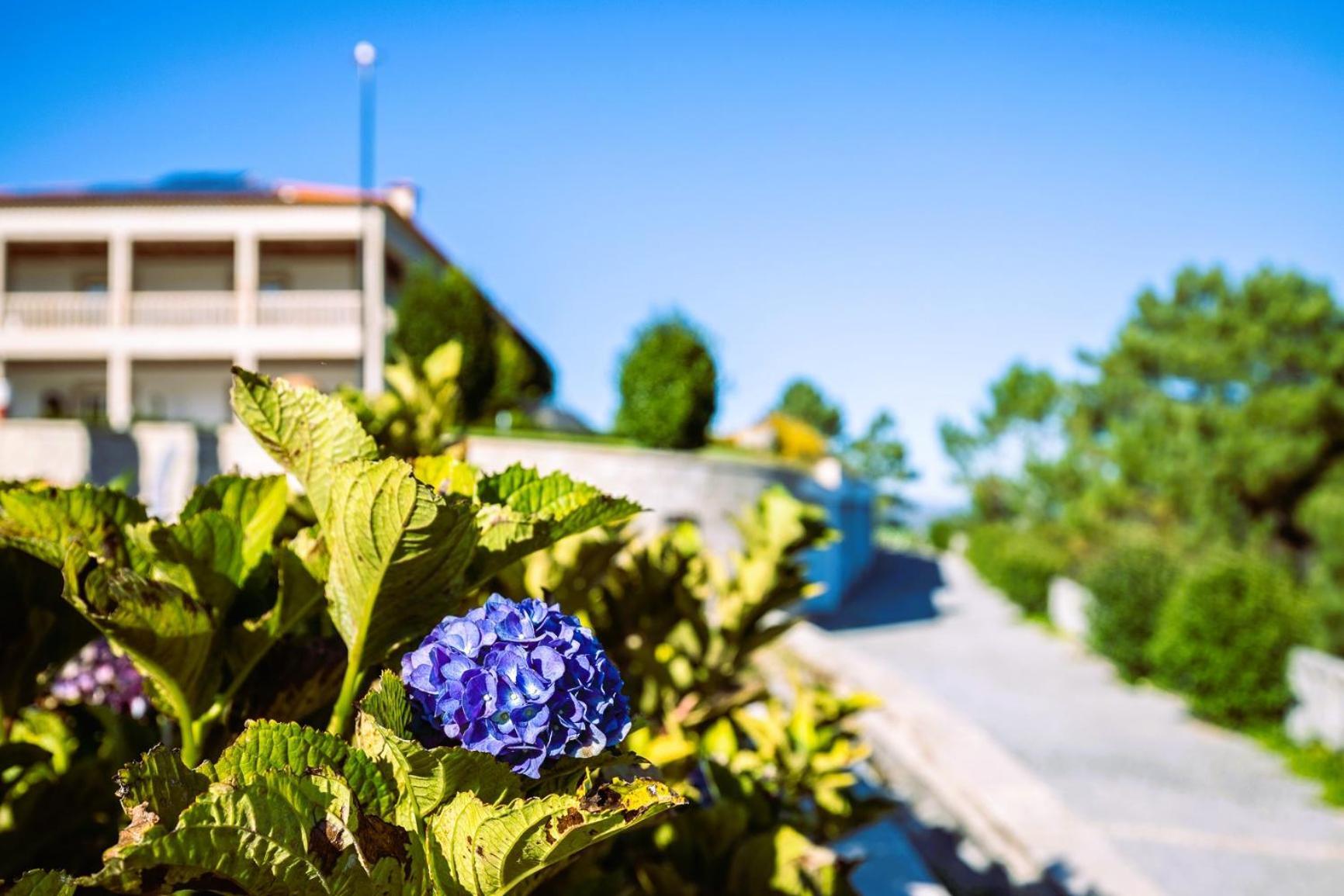 Hotel Cotto Do Gatto ปอนเจ ดา บาร์กา ภายนอก รูปภาพ