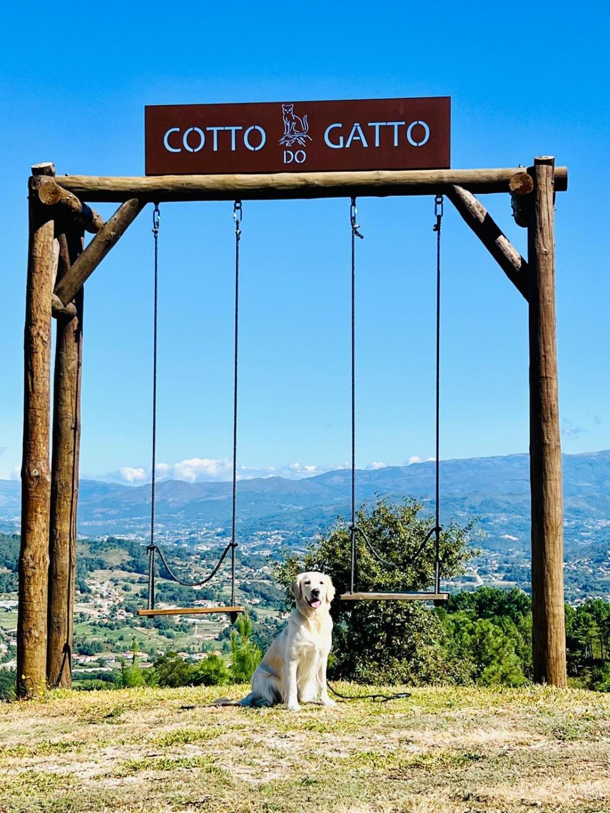 Hotel Cotto Do Gatto ปอนเจ ดา บาร์กา ภายนอก รูปภาพ